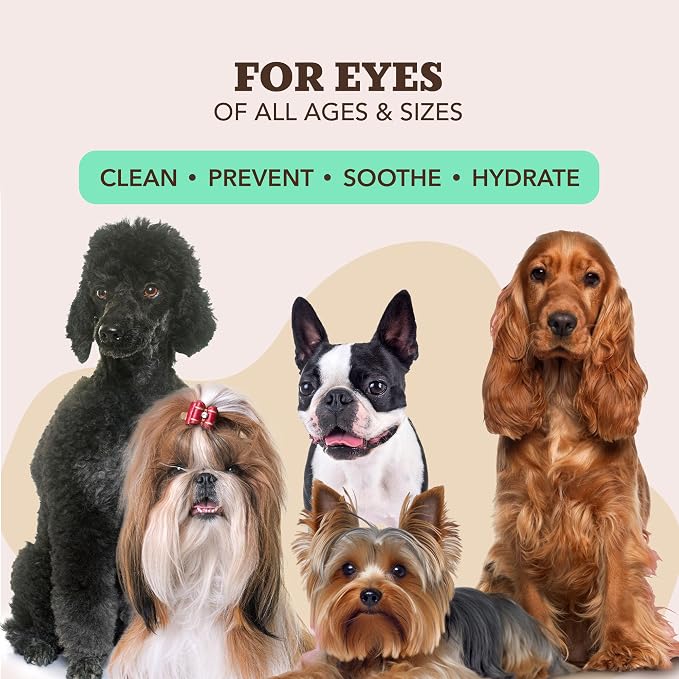 Grooming Wipes 4 Pack