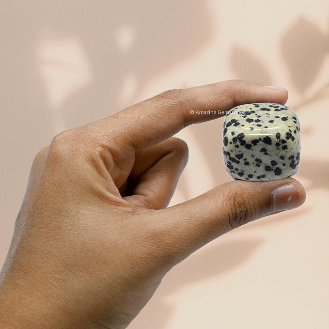 Dalmatian Jasper