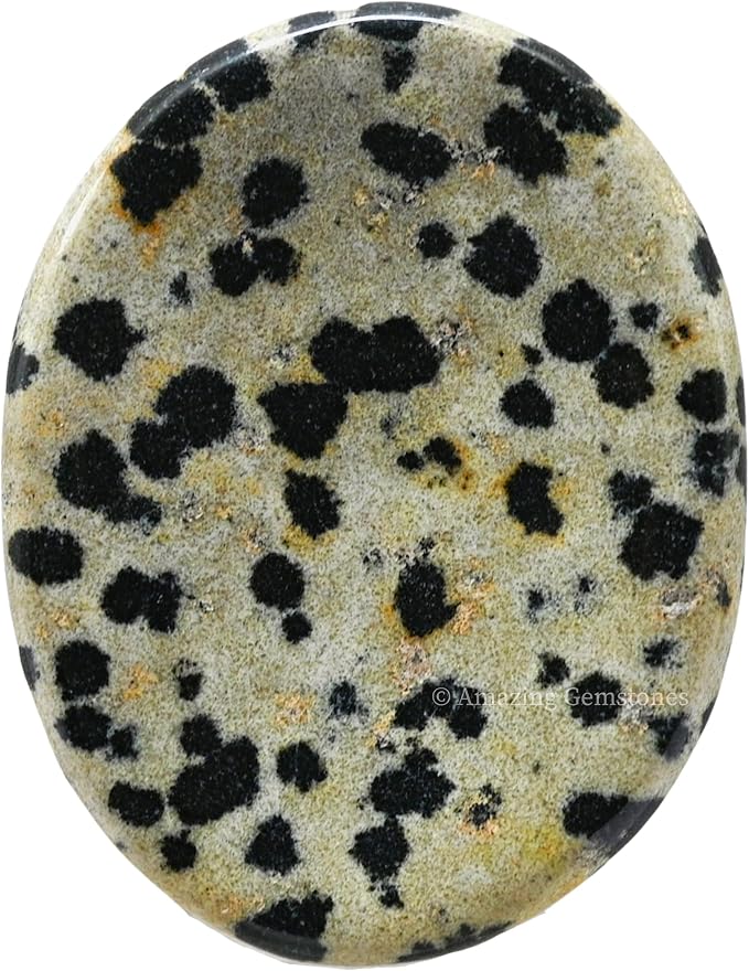 Dalmatian Jasper