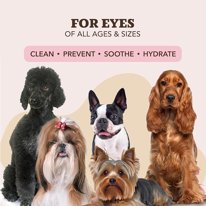 Ear Wipes