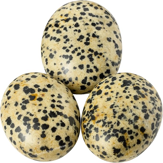 Dalmatian Jasper