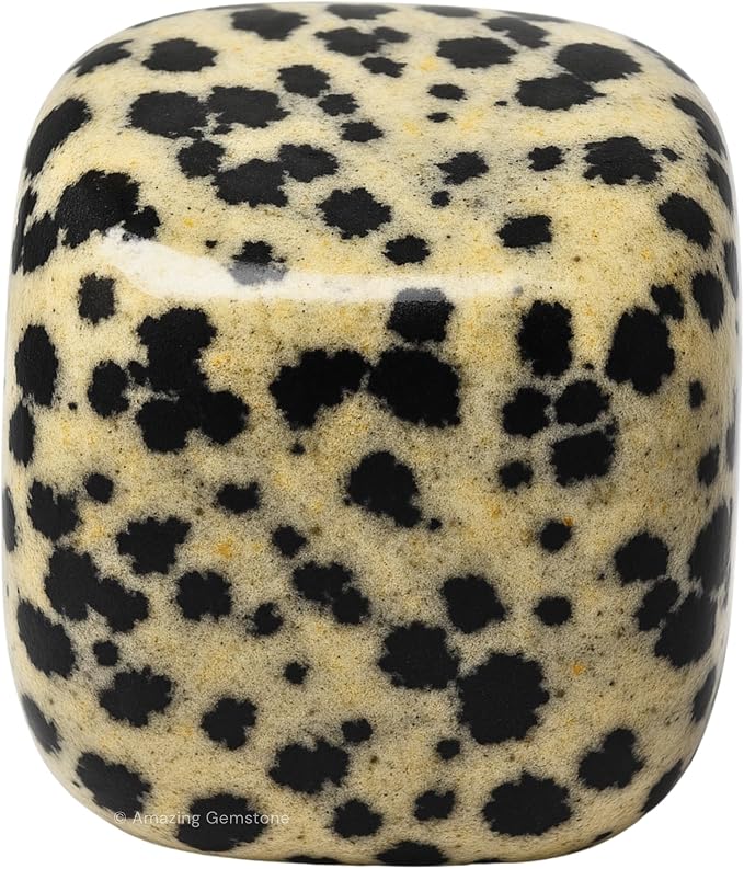 Dalmatian Jasper