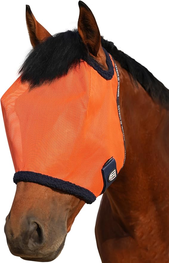 Vibrant Orange