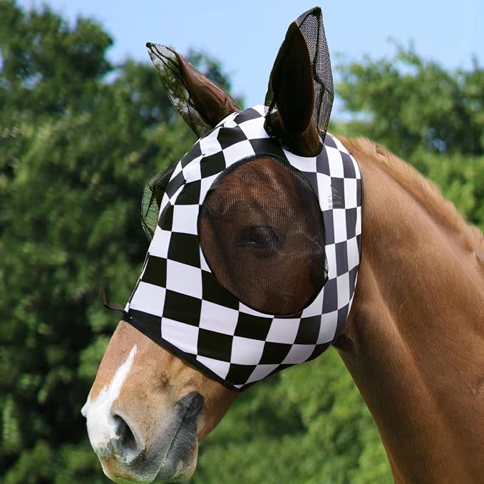 Checker Board