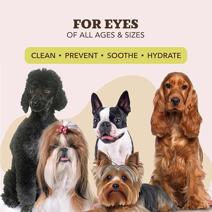 Wrinkle Wipes 100