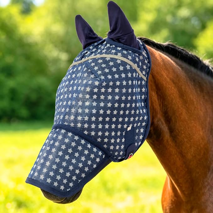 Blue Star Print