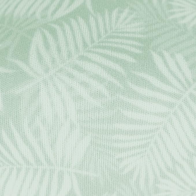 Palm Leaf