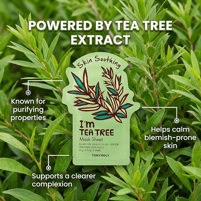 Tea Tree, 1 Pack