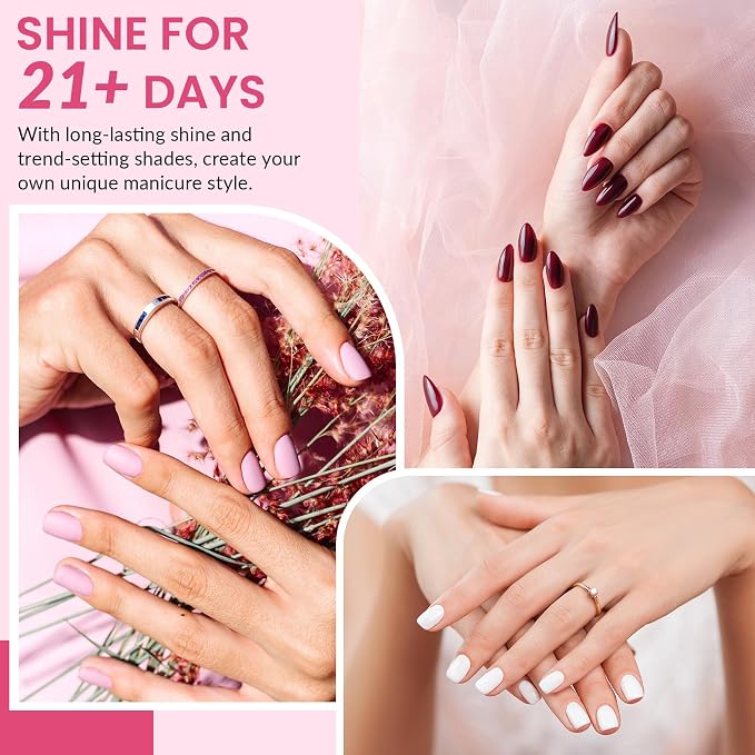 Classic & Stylish Collection