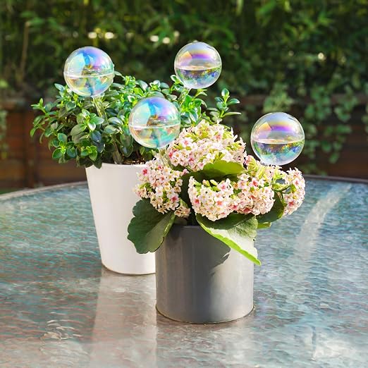 Iridescent 4-Pack