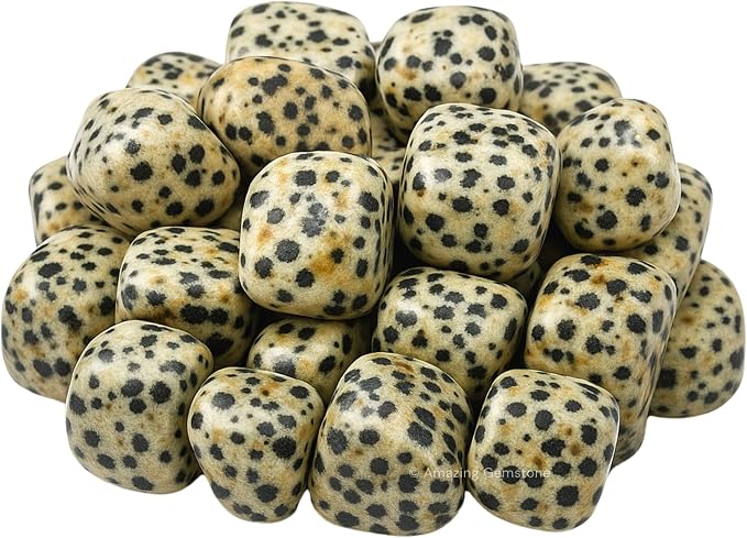 Dalmatian Jasper