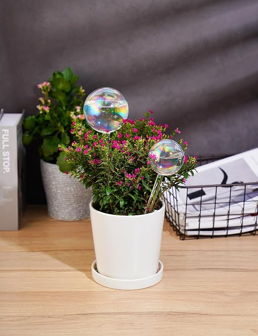 Iridescent-2 Large+2 Small
