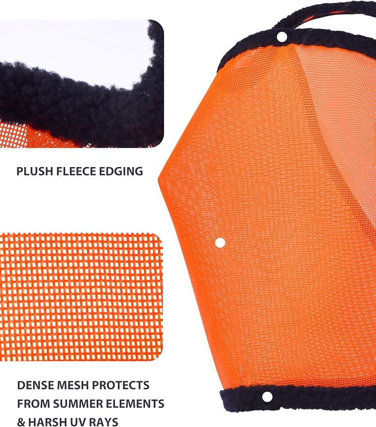 Vibrant Orange