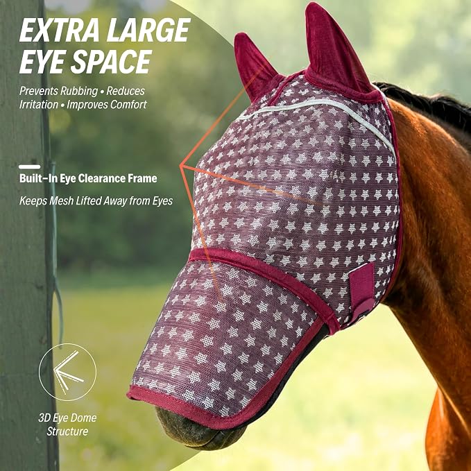 Burgundy Star Print