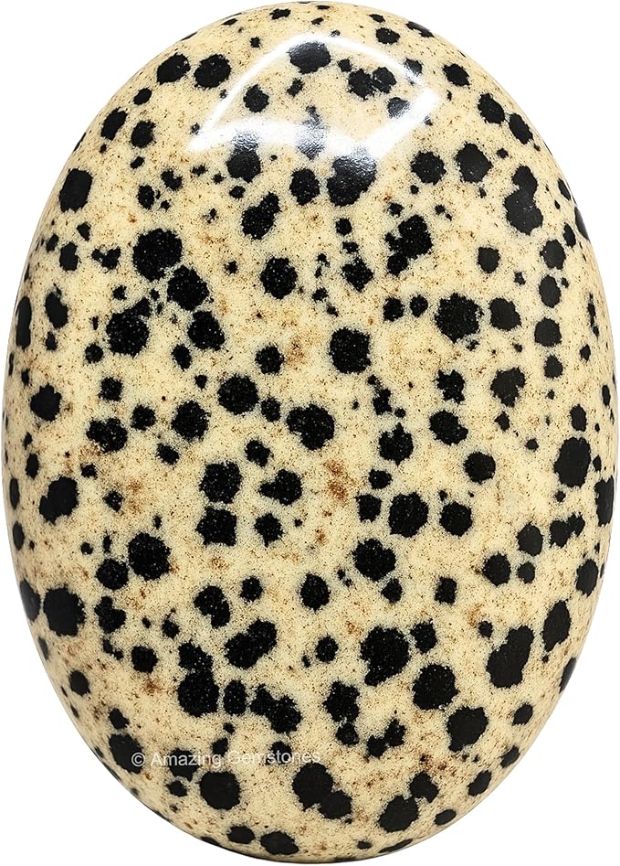 Dalmatian Jasper