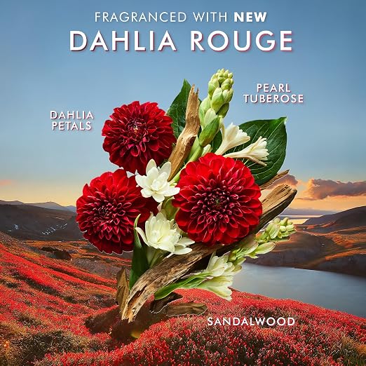 Dahlia Rouge