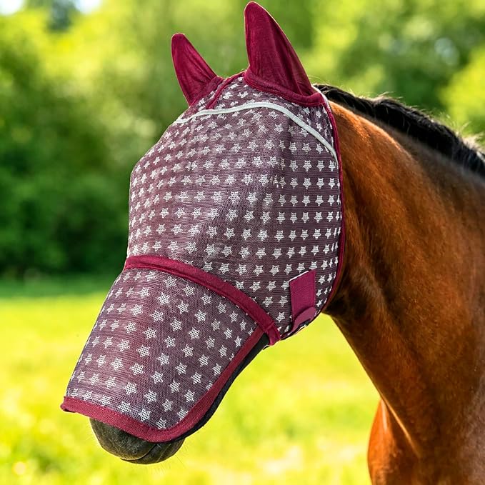 Burgundy Star Print