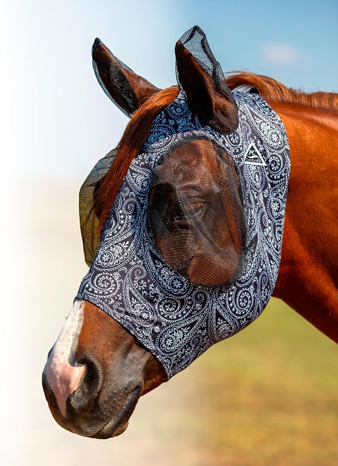 Paisley/Black